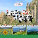 대흥민속 | 국내 여름 피서지 추천! 기차 타고 떠나는 시원한 여행지 Best 4