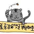 아이니(eyenii)