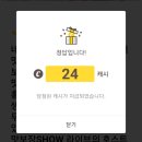 홍라이브