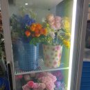 한아름 꽃 이미지