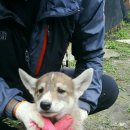 꼴통 Daum카페