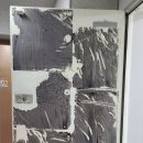 청구1차아파트 | 의정부 민락동 청구1차아파트 현관문 단열재 제거 흔적 복구｜인테리어 필름 시공