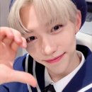 스테이 사이 이미지