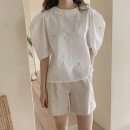 라노떼