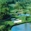베스트골프 | 필리핀 골프여행 알파와 베스트 후기