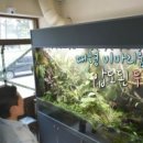 풀랜트