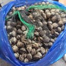 수진수산 이미지