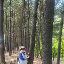 초안산길 이미지