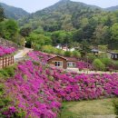 산삼자연휴양림(함양) 이미지