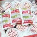 정영농장 이미지