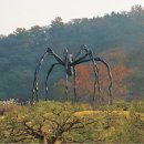 호암미술관 이미지