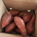 이영농장 이미지