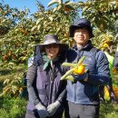 주흥농장 이미지