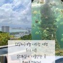 퍼쓰어