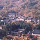 법인하랑