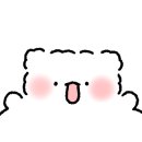 댕냥테라피 이미지