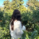엠헤어스튜디오 이미지