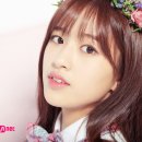 48 이미지