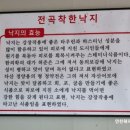 전곡 착한낙지 이미지