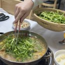 청둥오리 | 광주 금호동맛집 유진정 청둥오리전골 반마리 내돈내산 후기