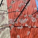 달록비치 이미지