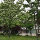 평택호 관광단지7 이미지