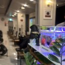 제이디골프 | 문정동 골프레슨 송파 골프레슨 주차가능한 제이디골프