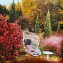 연세라벤더치과교정과치과의원 이미지