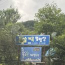 댕댕스 | 가평 물골숲 캠핑장ㅣ가평 계곡캠핑장에서 시원한 여름휴가 보낸 후기 !