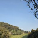 뉴웨이골프 | 골프라운딩후기/경기도이천/뉴스프링빌CC/메가골프피팅