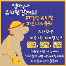 우쭈쭈플렉스 강아지 미용 이미지
