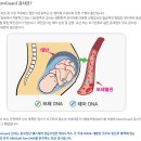 랩지노믹스의 급등이유는??? 윌슨병 조기진단 기술 특허권 취득 이미지