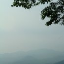 죽청제 이미지