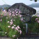 주천면 행정마을 이미지