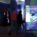 혼자여도괜찮지만 이미지