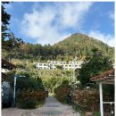 스테이 태연 이미지