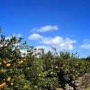 위미2리경로당 이미지