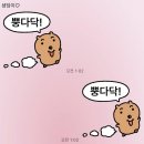 꽉꽉 눌러담은 3월 일상 행복, 행운 ☘️🍀 가득가득행 ~