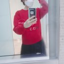 (주)모비아트 | 이자벨마랑 모비 플록 로고 맨투맨 직구 후기+파페치 직구 방법