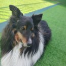 킹스키즈 개린이집 이미지