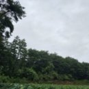 도천리 마을회관 이미지