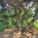 고양화전16 이미지