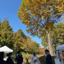 구미시민을 위한 작은 음악회 | 양재 매헌시민의숲 단풍, 가을 야외 예식장 웨딩 하객 후기, 루디아 프로젝트 뷔페