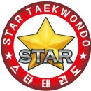 고양스타태권도장