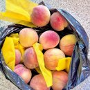 가조소림사 이미지