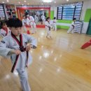 경희대 대영 태권도장 이미지