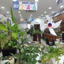 K비젼안경콘택트 이미지