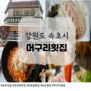 🦀속초 맛집 대포항 머구리횟집, 홍게·모둠회·물회까지 완벽했던 해산물 한 상
