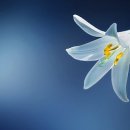 아름다운오늘 - 담양군 천변1길 10 | 아름다운오늘