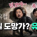 김어준 유시민 해외도피? 조세회피처 안도라 의혹 프랑스 한식당 스페인 포르투갈 골든 비자 신청하나? 범죄인 인도협정 이재명 정성호가 이미지